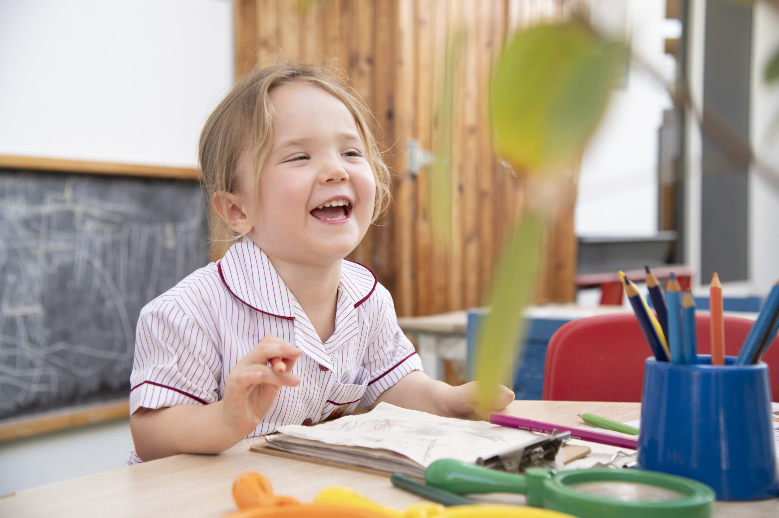 Outdoor play and learning